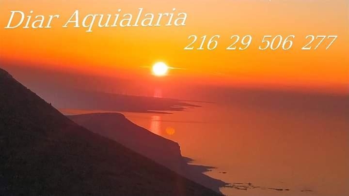 Residence Aquilaria Dar Narjes El Haouaria Luaran gambar