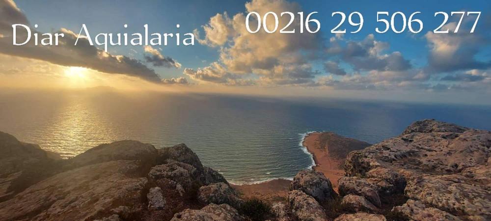 Residence Aquilaria Dar Narjes El Haouaria Luaran gambar